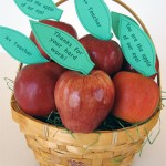 teacherapples4