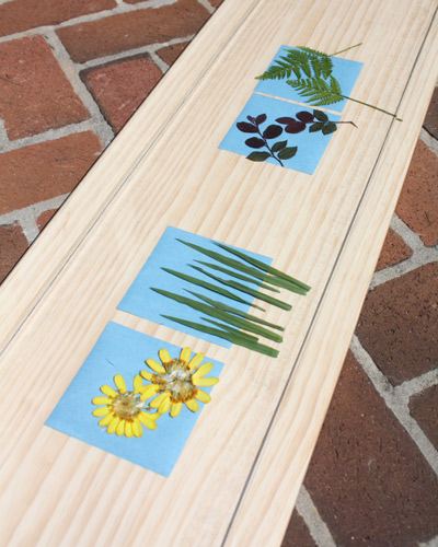 painted-sun-prints3
