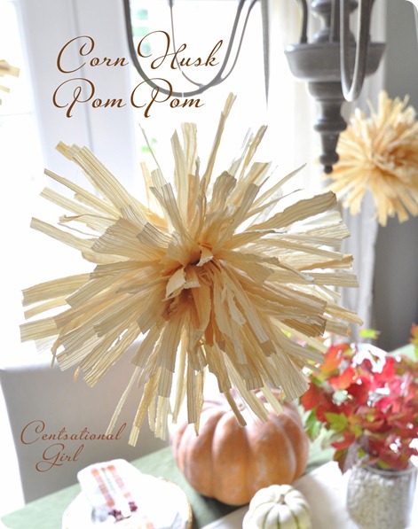 corn-husk-pompom-cg