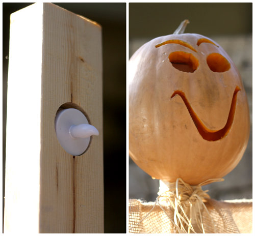 scarecrow 5