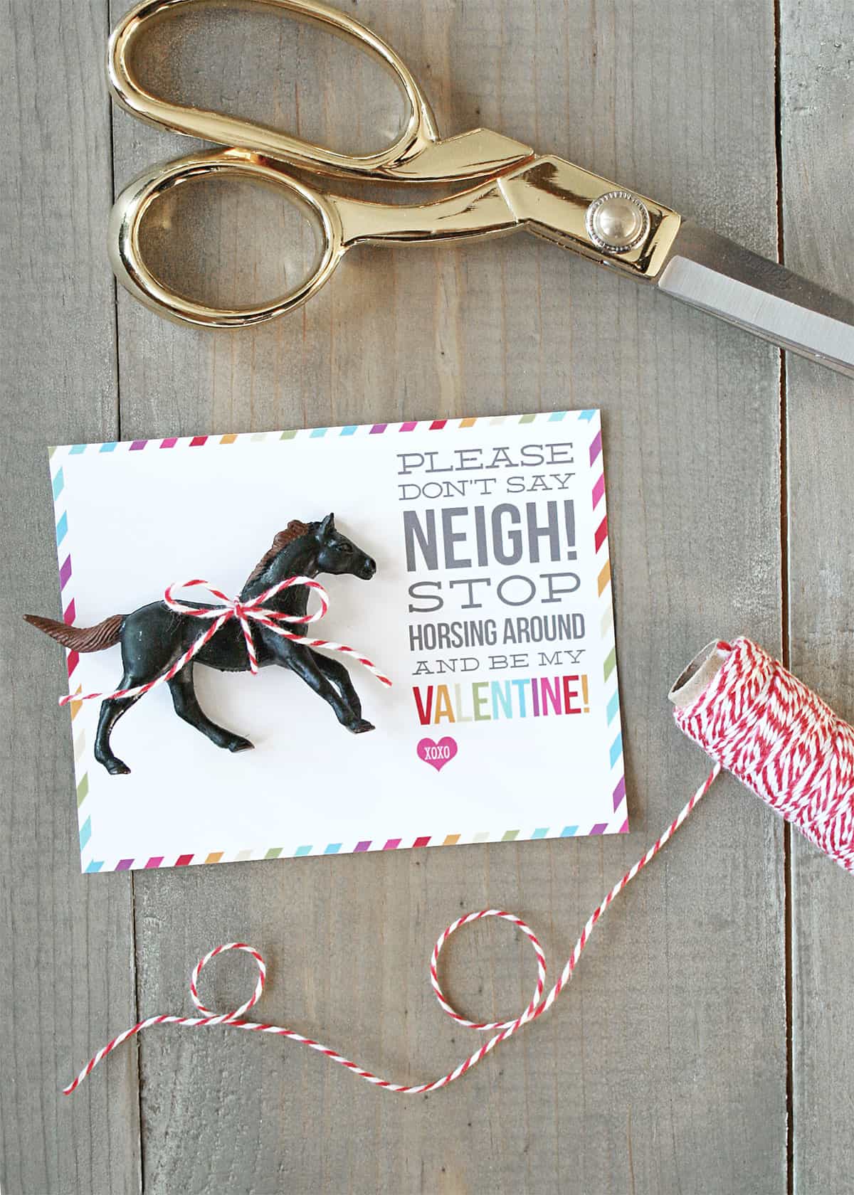 Don't Say Neigh Horse Valentines | Skip To My Lou1200 x 1680