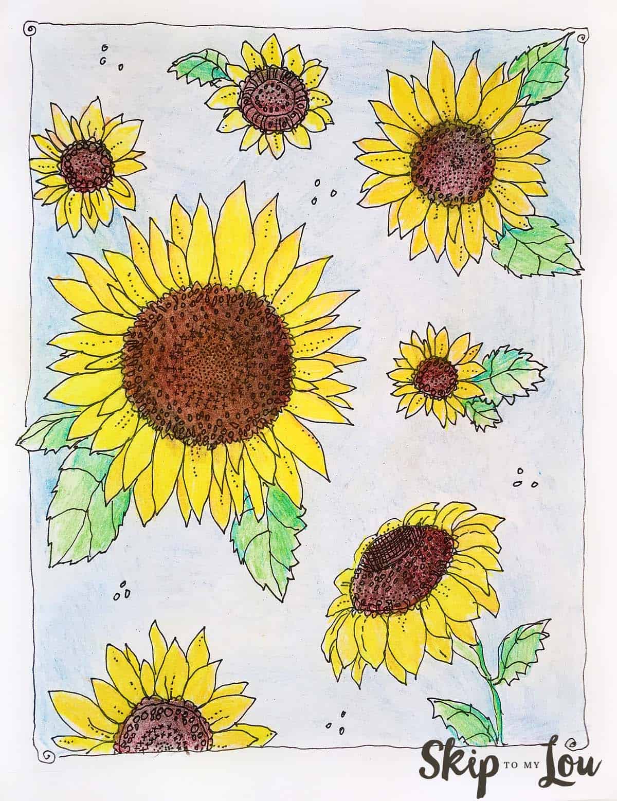 sunflower coloring page Kansas Day