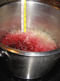 lolli-4.jpg