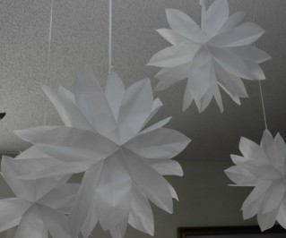megan-flowers.jpg