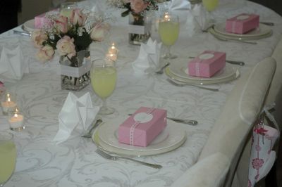 megan-picture-of-table.jpg