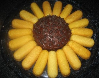 sunflower.jpg