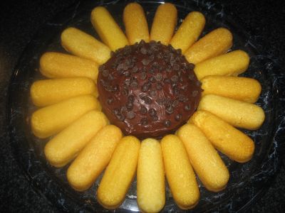 sunflower.jpg