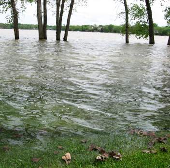 flood.jpg