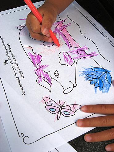 heifer-int-coloring-sheet-pig.jpg