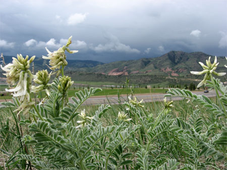 colorado22