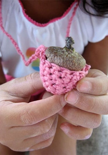 Acorn1.jpg