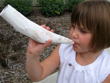 Horn11.jpg