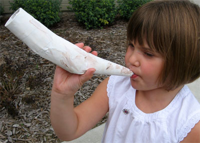 Horn1