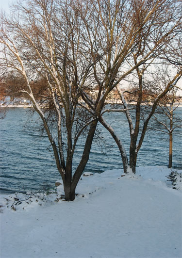SnowDay.jpg