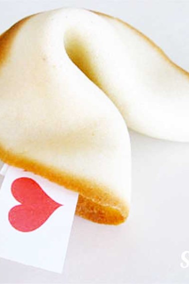 fortune cookie on white background