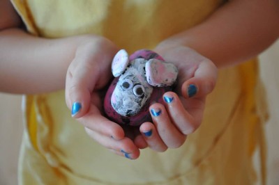 pet rock