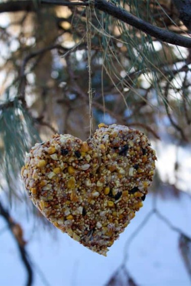 Homemade-Heart-Birdfeeder1.jpg