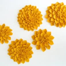 felt Dahlias