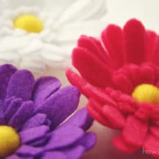 Felt Daisies