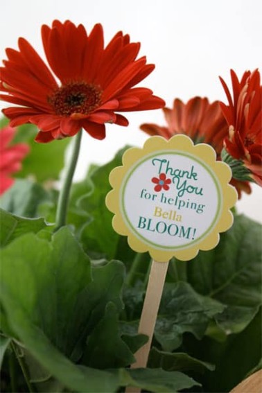 Teacher-Appreciation-Flowers