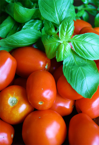 tomatoes and basil