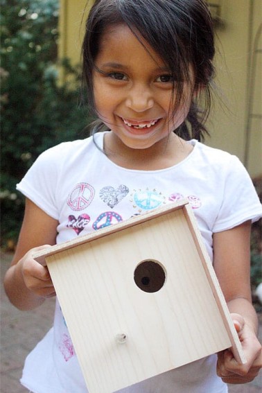 DIY-Birdhouse.jpg