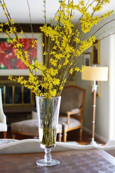 forsythia-in-vase.jpg