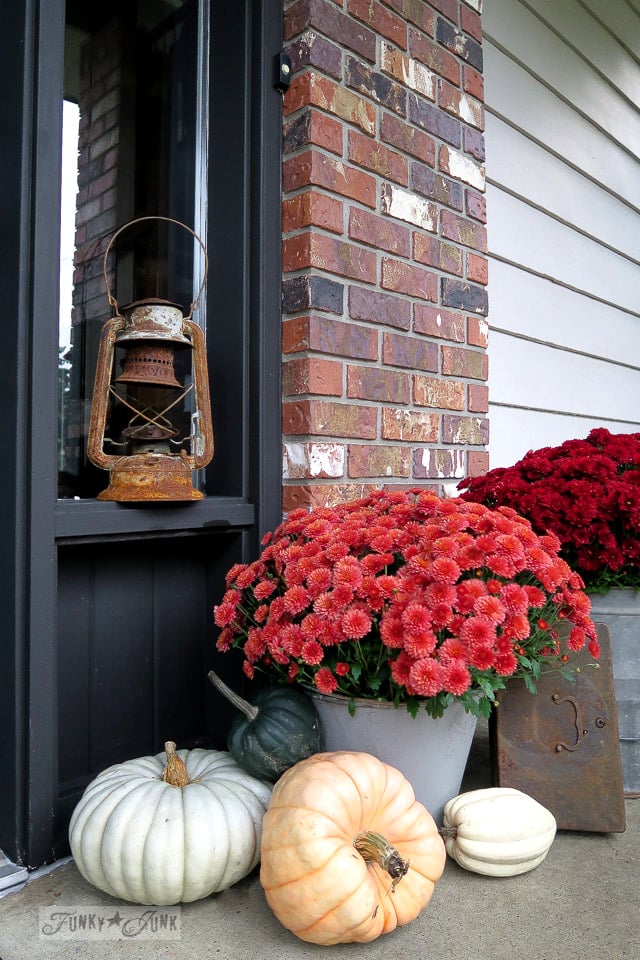 white pumpkins with mums
