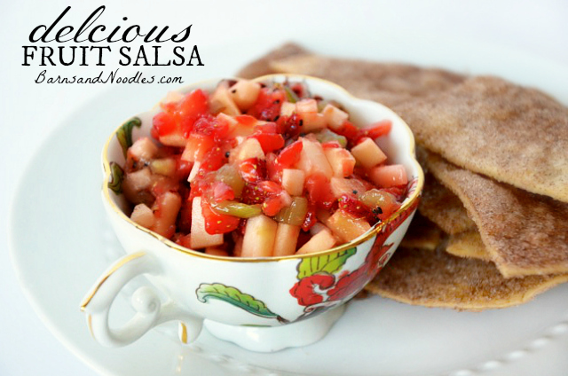 Fruit-Salsa-Recipe-BarnsandNoodles3