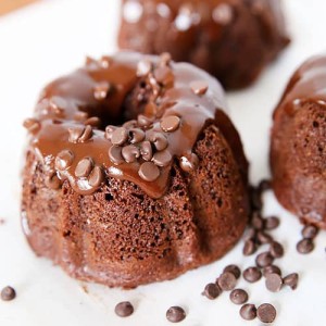 Double-Chocolate-Bundt-Cake.jpg