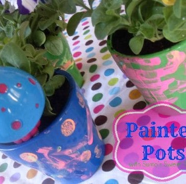 pots-cover1.jpg