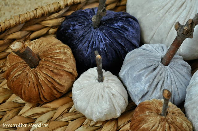 velvet pumpkins velvet pumpkins