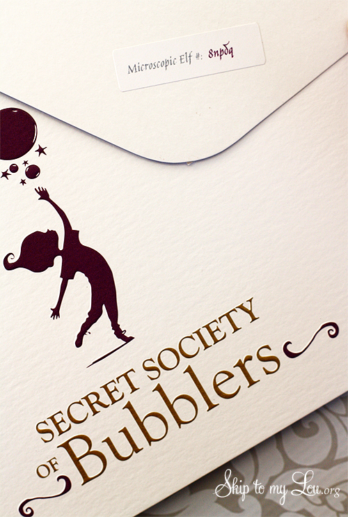 secret society of bubblers
