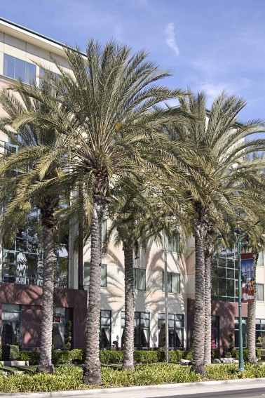 Ramada-Plaza-Anaheim-Anaheim-California.jpg