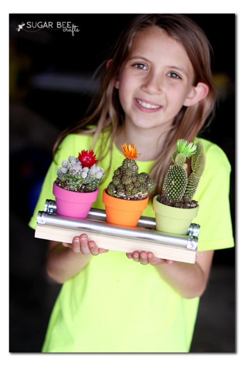 mini cactus teacher gift idea