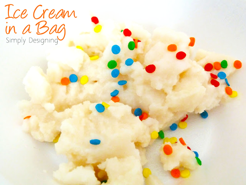 Ice Cream in a Bag