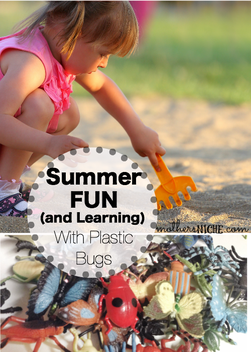 summer fun activities