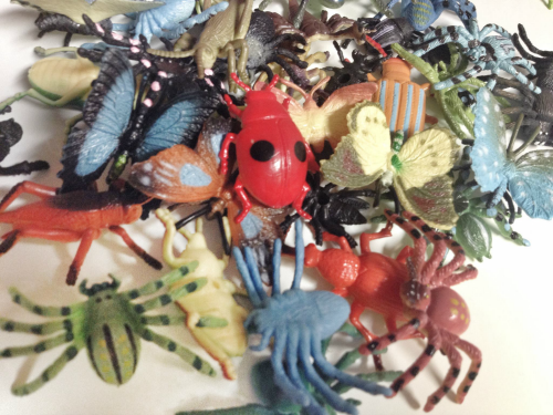 summer activity with bugs