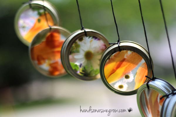 sun catchers in canning rings