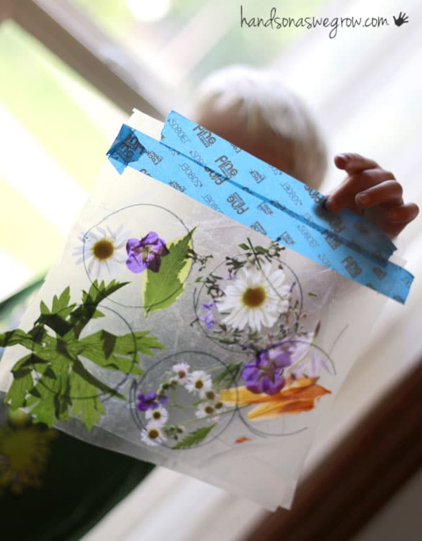 press flowers between two sheets of contact paper