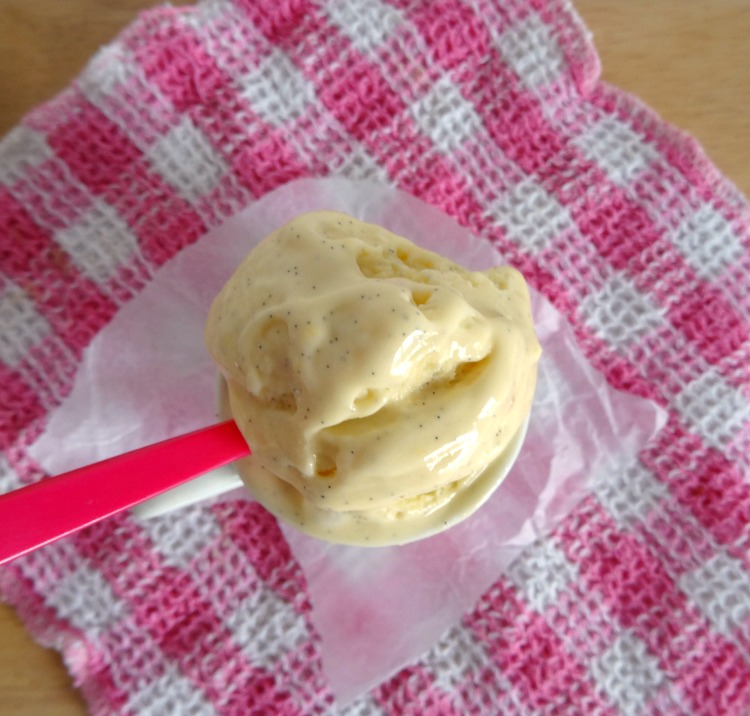 ssimple-vanilla-bean-ice-cream