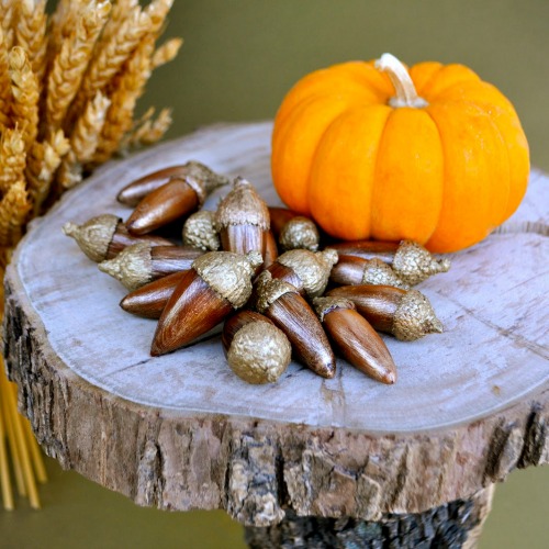 Metallic-Gold-Painted-Acorns-Tutorial
