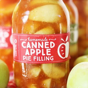 printable-homemade-canned-apple-filling-label.jpg