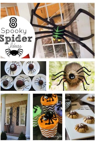 spider-ideas-collage.jpg