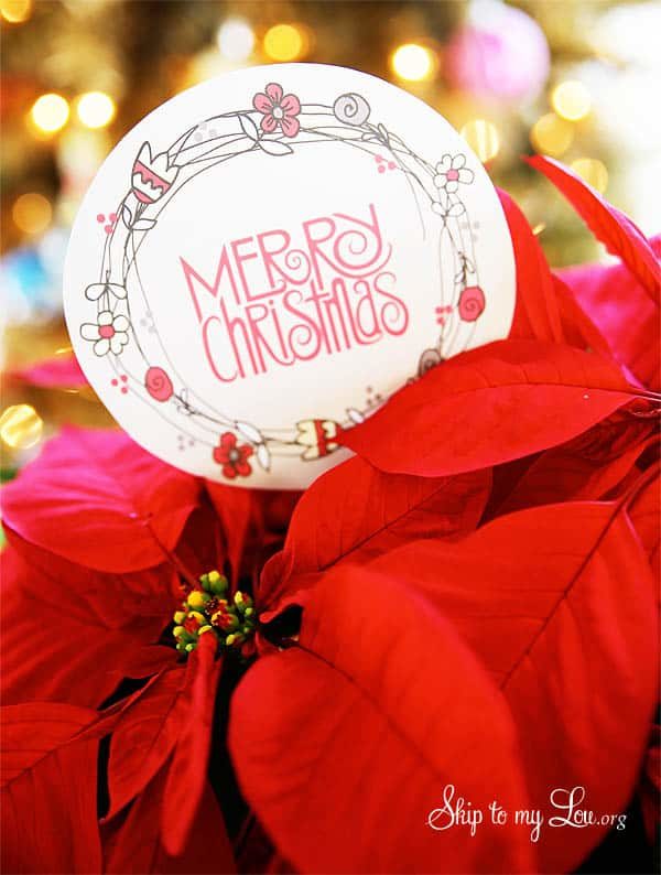 Cute-Hostess-Gift-Idea.jpg