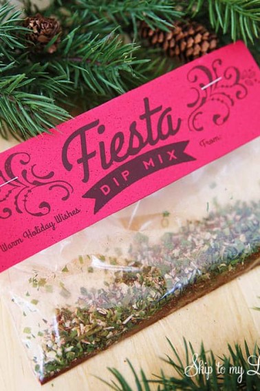 Fiesta-Dry-Dip-Mix-Recipe.jpg