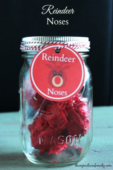 Reindeer-Noses-Mason-Jar-Gift-Idea.jpg