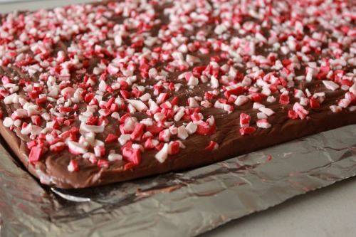 Peppermint-Fudge-1