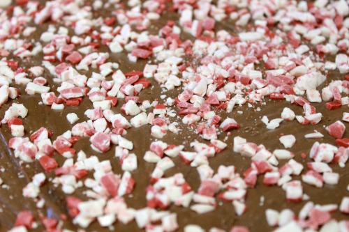 Peppermint-pieces