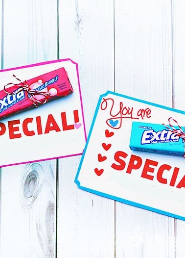 extra-special-teacher-gift.jpg
